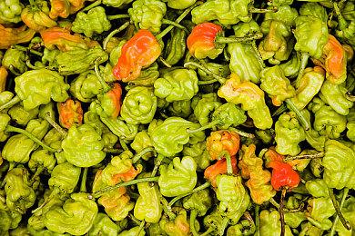 《完蛋被美女包围前传》角色韦知遥介绍 给她涂防晒霜