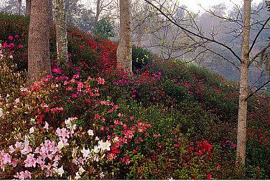 平台动作冒险《机器双雄》公布 年内发售